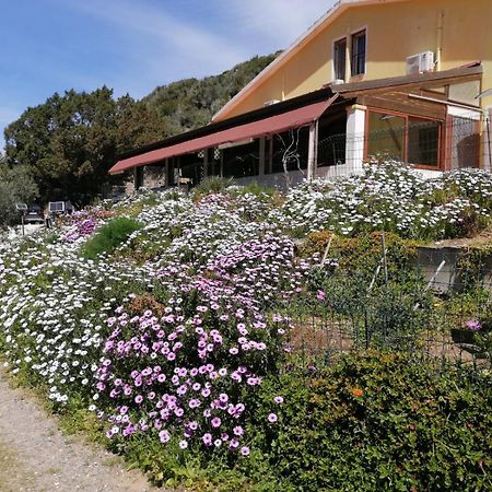 Cala Sapone Il Lentischio酒店 外观 照片