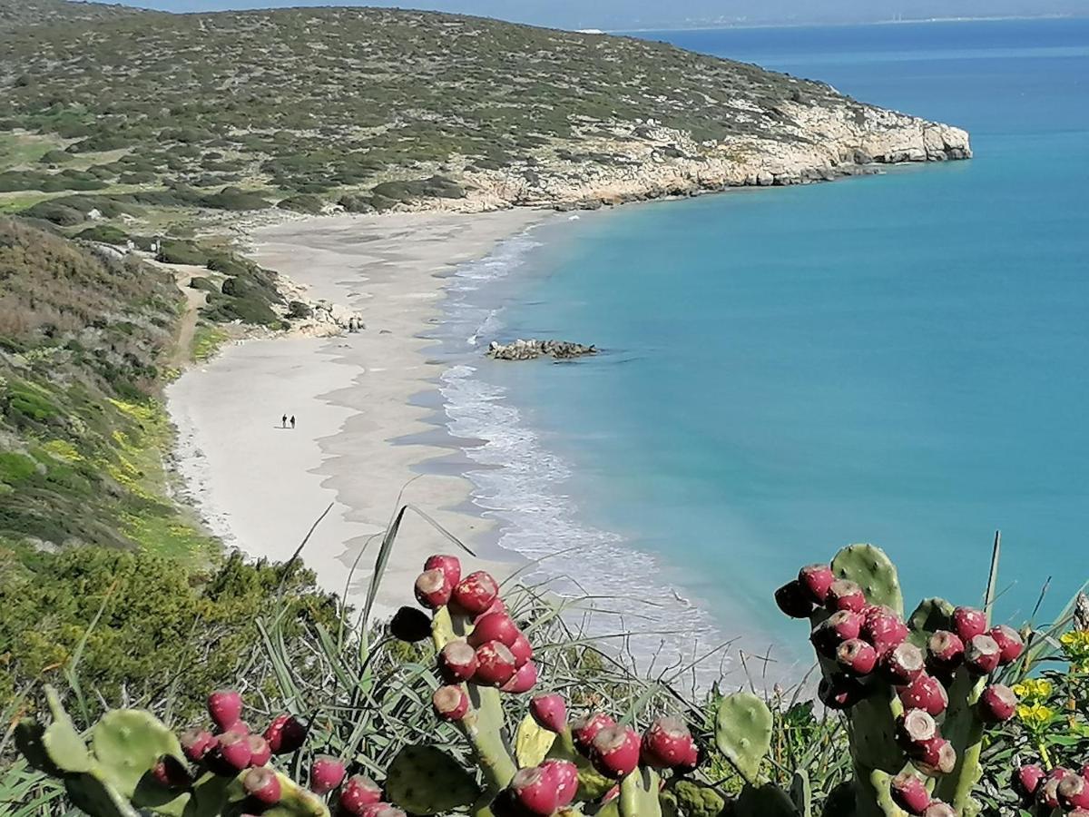 Cala Sapone Il Lentischio酒店 外观 照片
