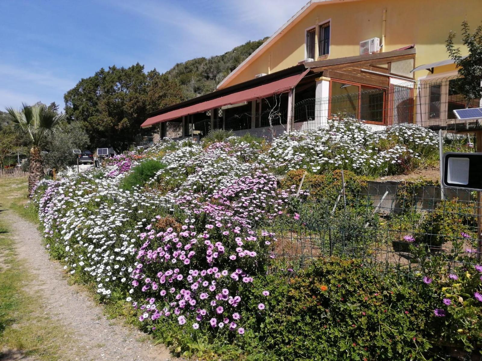 Cala Sapone Il Lentischio酒店 外观 照片